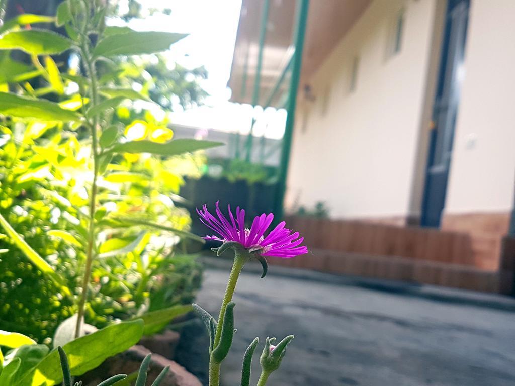 Guest House Villa Kvareli Exteriér fotografie